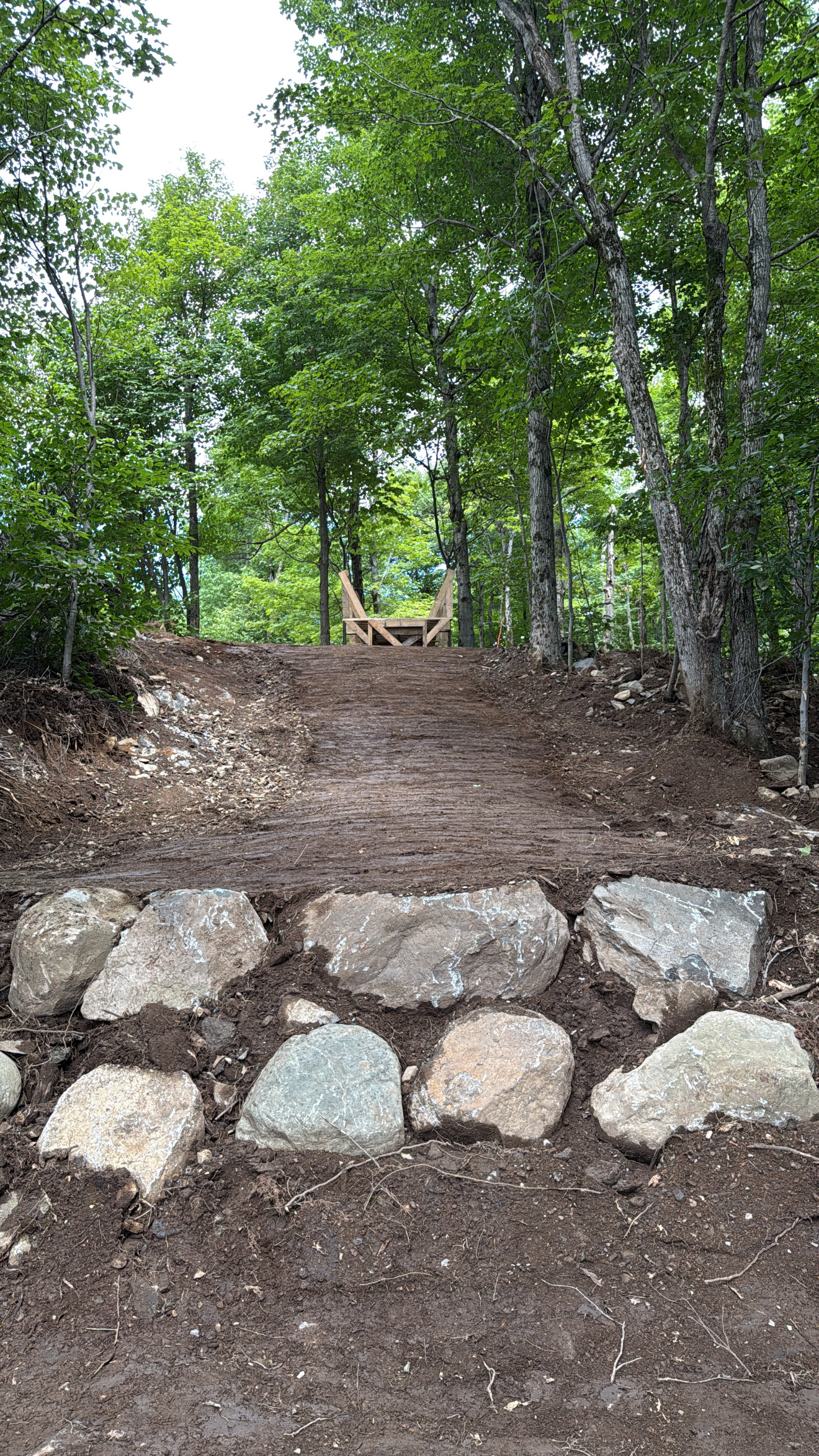 image00009
