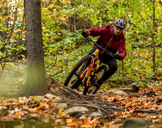 vélo de montagne automne