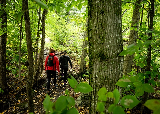 Decouvrir-Rando-ete-560x400 Randonnée