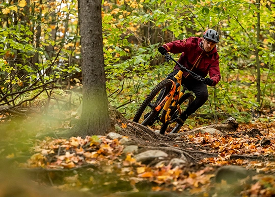 Decouvrir-Velo-aut-560x400 vélo montagne automne