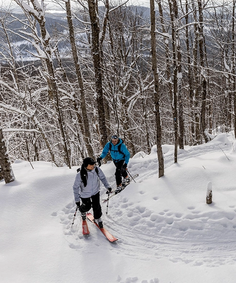 Alpine Touring