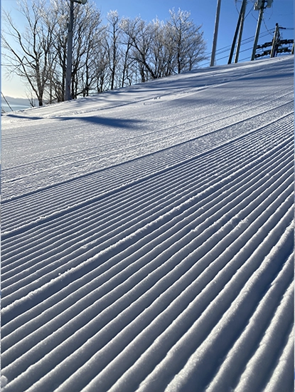 IMG-Blogue-2col-damé-415x550 Piste damé