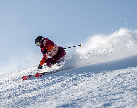 Decouvrir-billet-ski-560x440 skieur